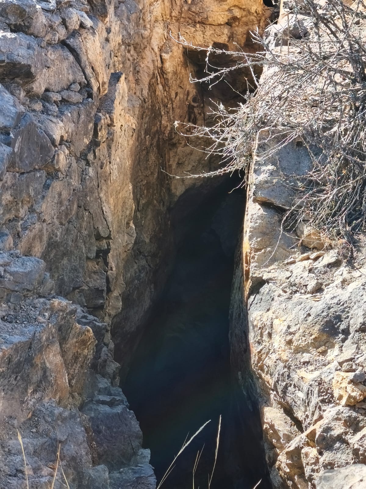 Detalle Mineralización